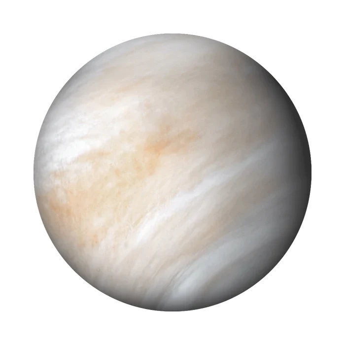 MoonSwatch MISSION TO VENUS